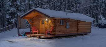 1 Bd. Deluxe Log Cabin | View Northern Lights!