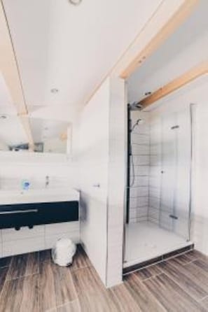Shower, towels, toilet paper