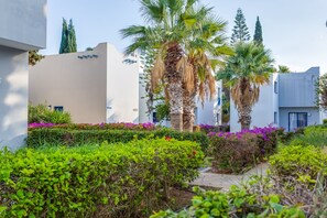 Garden - MarisMare Apartments (Ayia Napa)