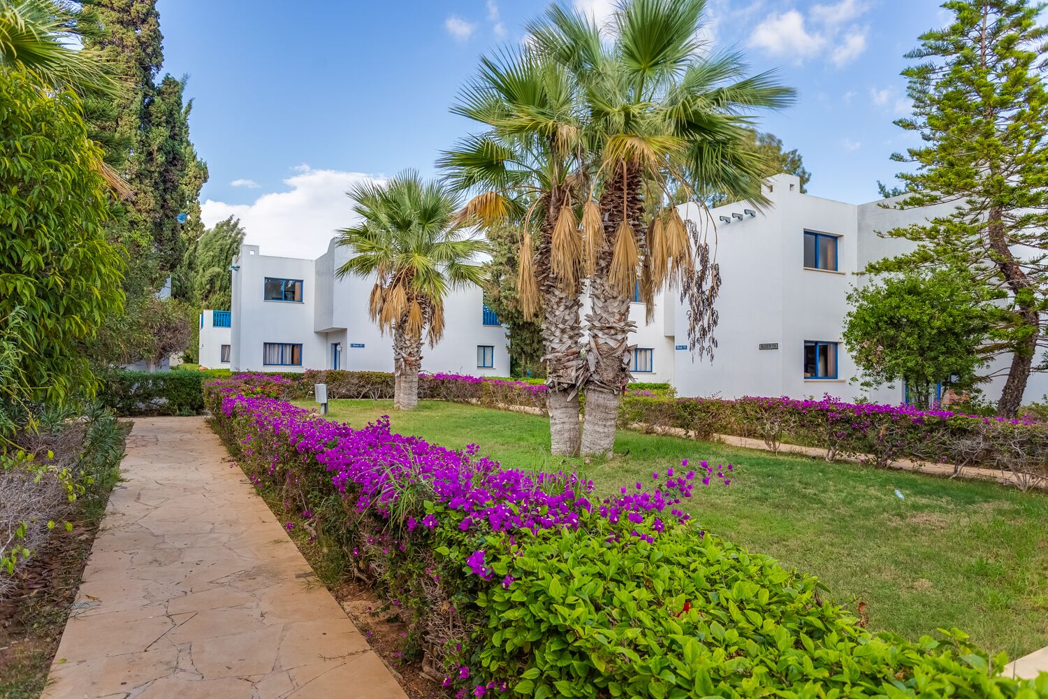 Un chemin menant à un bâtiment aux murs blancs et aux touches de bleu, entouré d’une végétation luxuriante et de fleurs violettes.