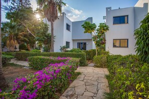 Garden - MarisMare Apartments (Ayia Napa)