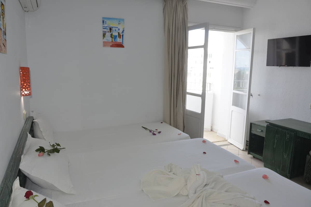 Basic Triple Room | Desk, laptop workspace, iron/ironing board (on request), WiFi (free)