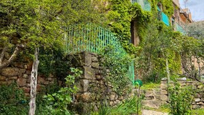 Un muro de piedra con una verja metálica, abundante vegetación y un edificio de fachada de piedra y contraventanas verdes.