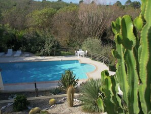 Une piscine à bord incurvé, entourée d’un jardin où poussent différentes espèces de cactus et d’arbustes, et qui offre une vue sur une colline boisée en arrière-plan.