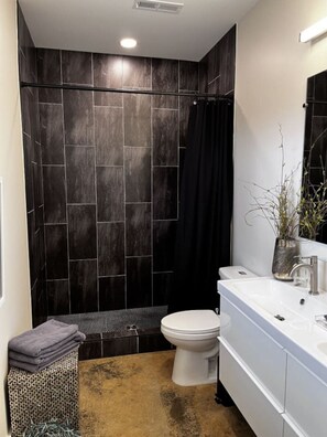 Shower, hair dryer, towels