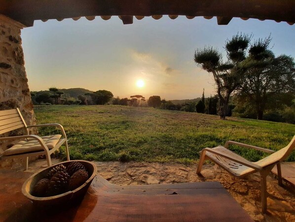 Terassi/patio