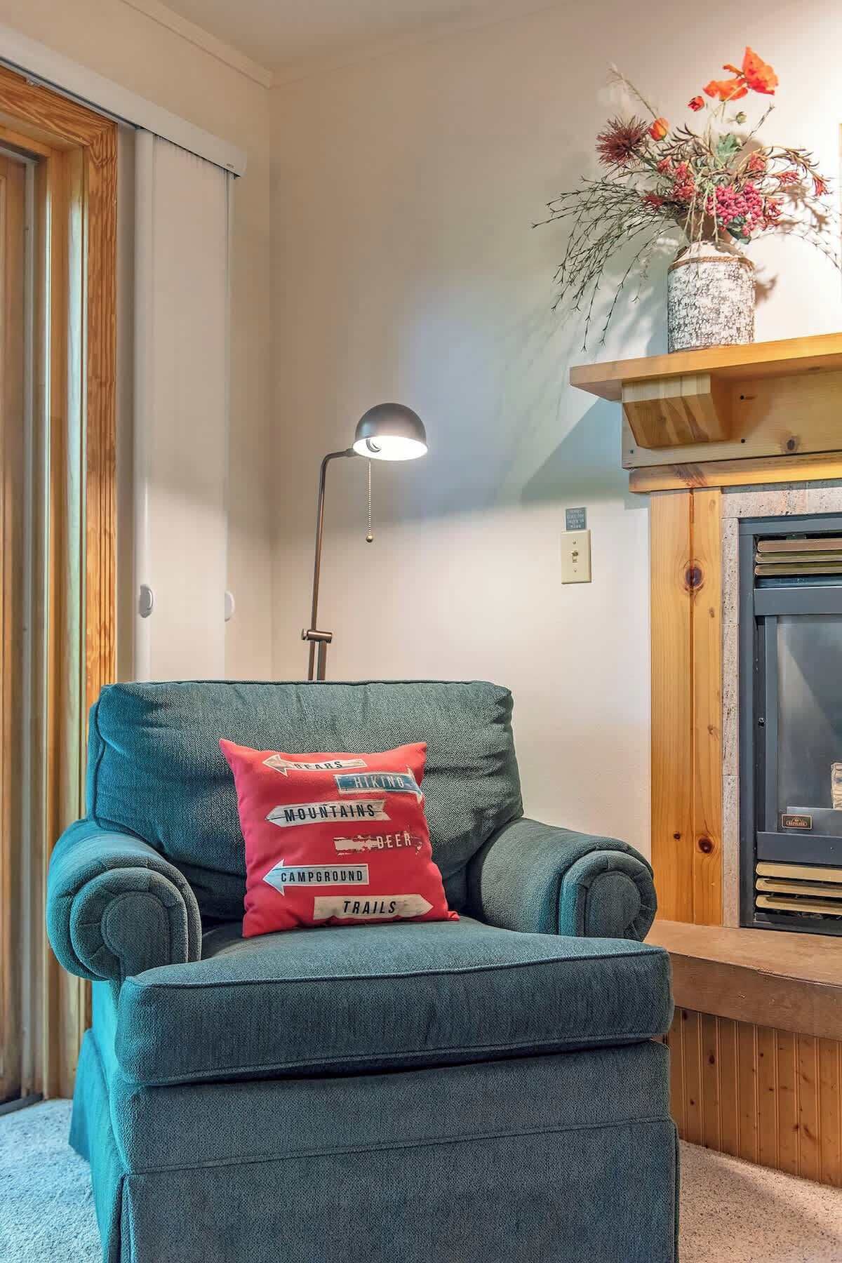 Smart TV, fireplace, books, stereo