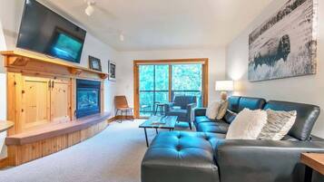 Smart TV, fireplace, books