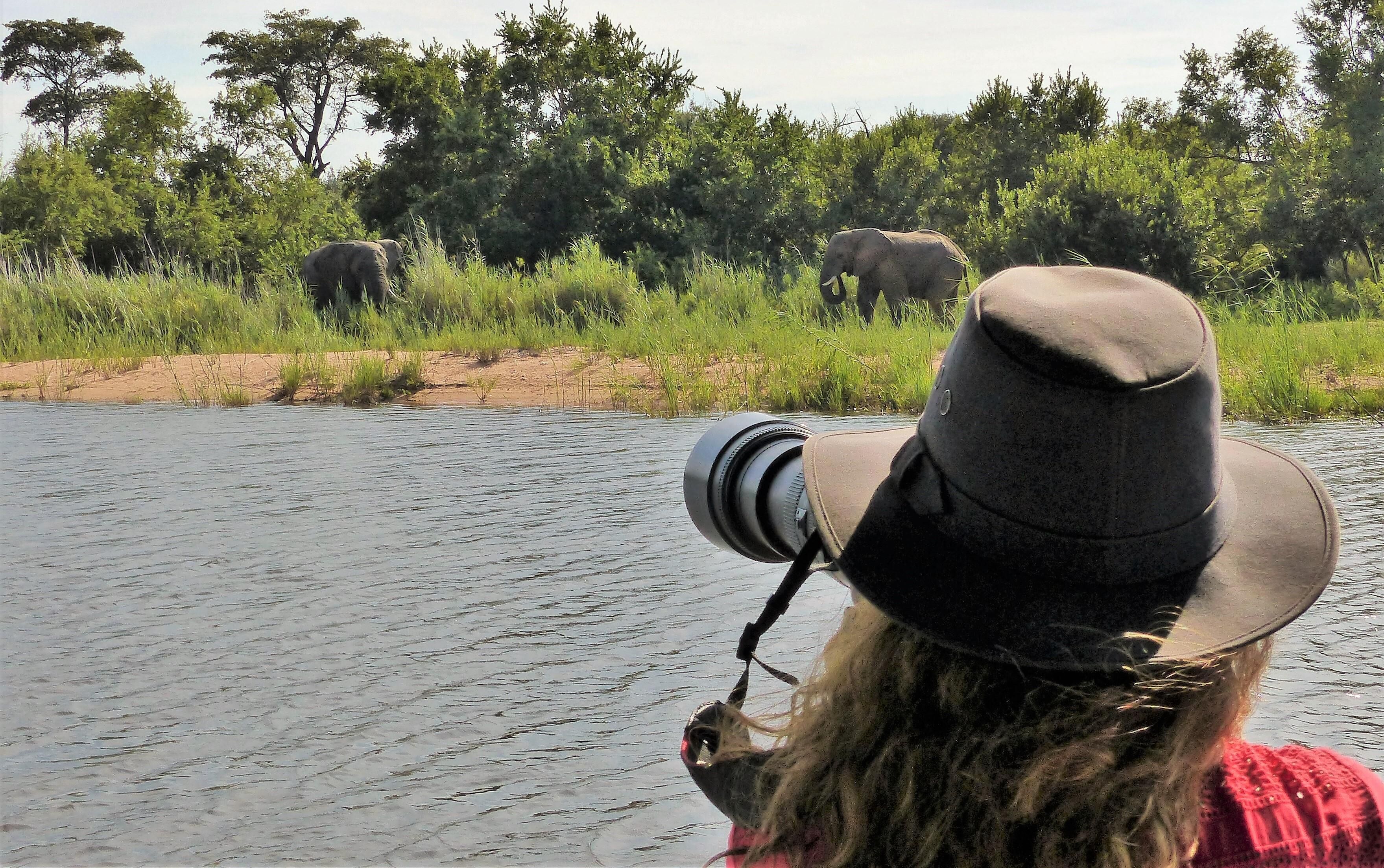A person with a camera, observing elephants by a river.