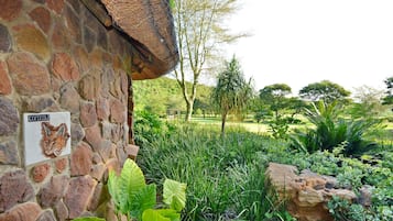 Luxury Double Room | View from room