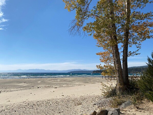 Enjoy the serene coastal landscape with a tree-lined beach and distant mountains.
