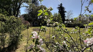 Een tuin met bloeiende bomen en een heldere lucht.