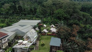 Unclassified image, 5 of 123, button - Alamu  (Bedugul)