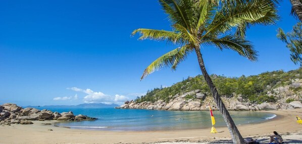 A beach with a palm tree, clear blue sky, and rocky terrain.