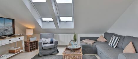 电视、DVD 播放器、立体声音响