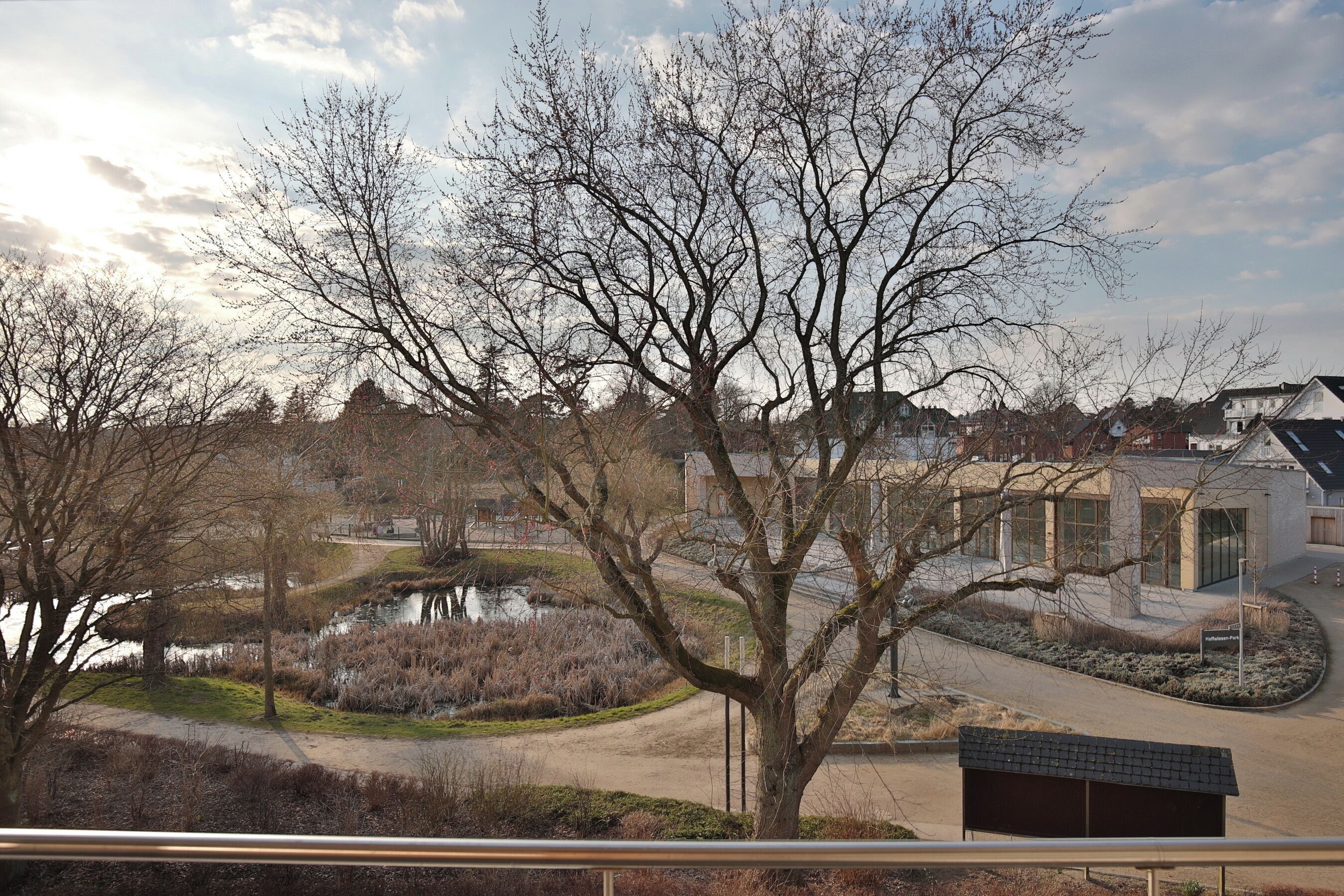 A view of a park with a pond, trees, and a building with a modern design.
