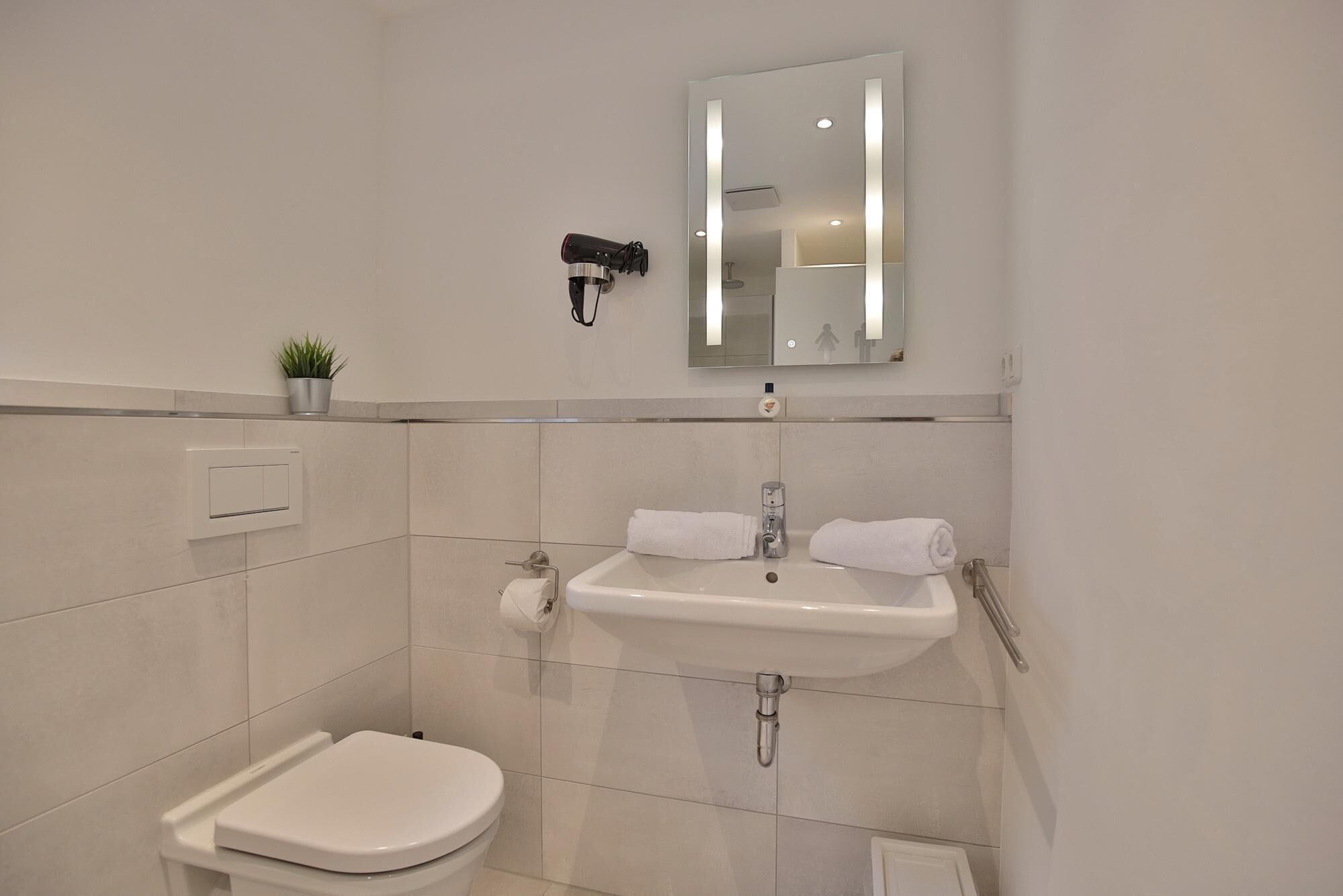 Un baño moderno con inodoro blanco, lavamanos con espejo y una pequeña planta en el mostrador.