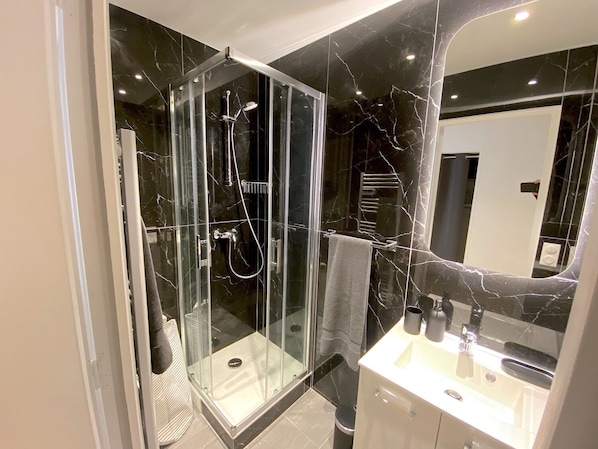 Shower, towels, toilet paper