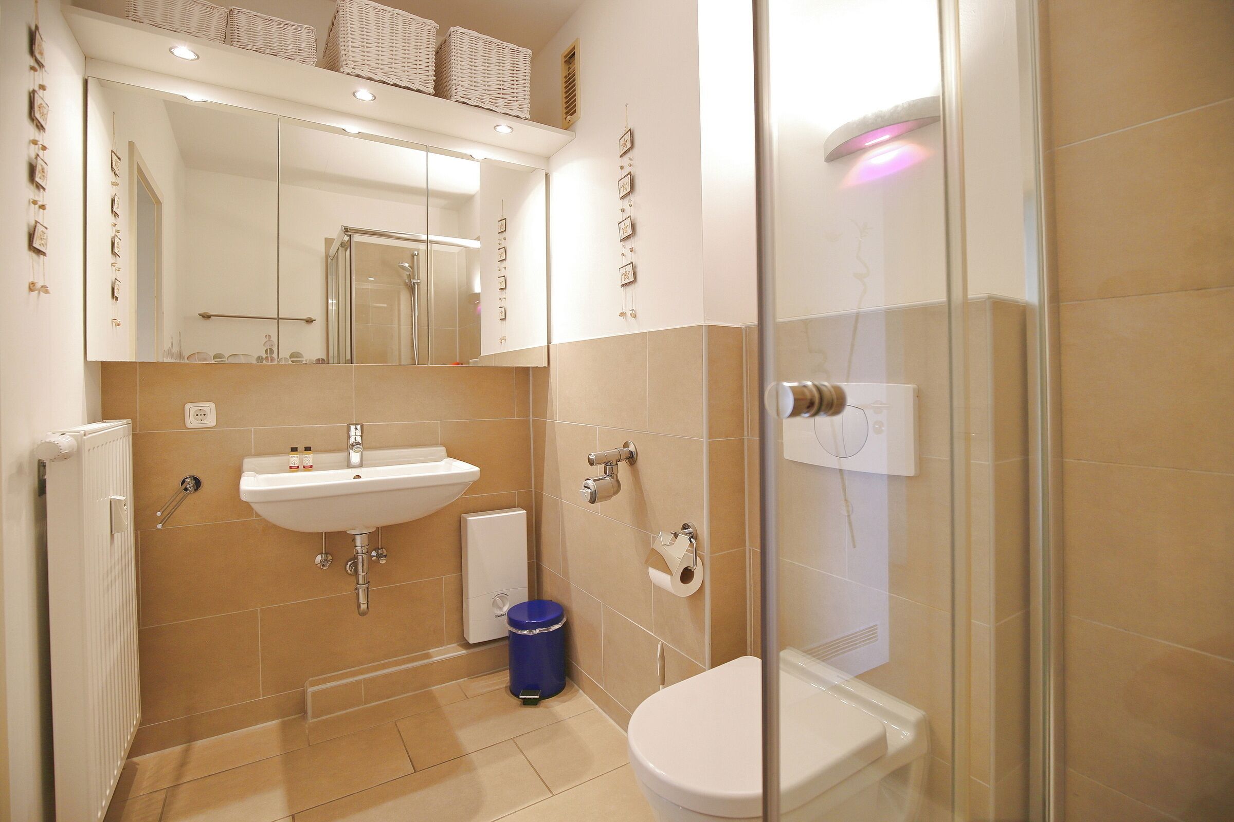 Shower, hair dryer