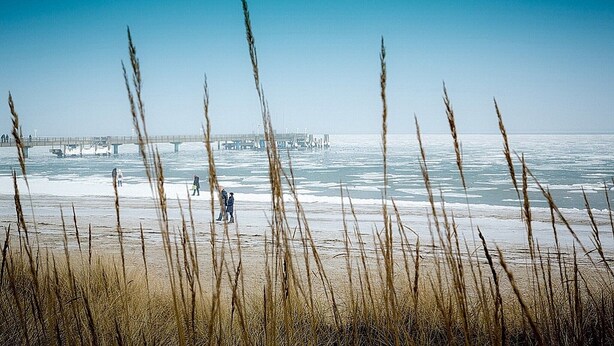 A beach with tall grasses in the foreground, a pier in the background, and a few people walking.