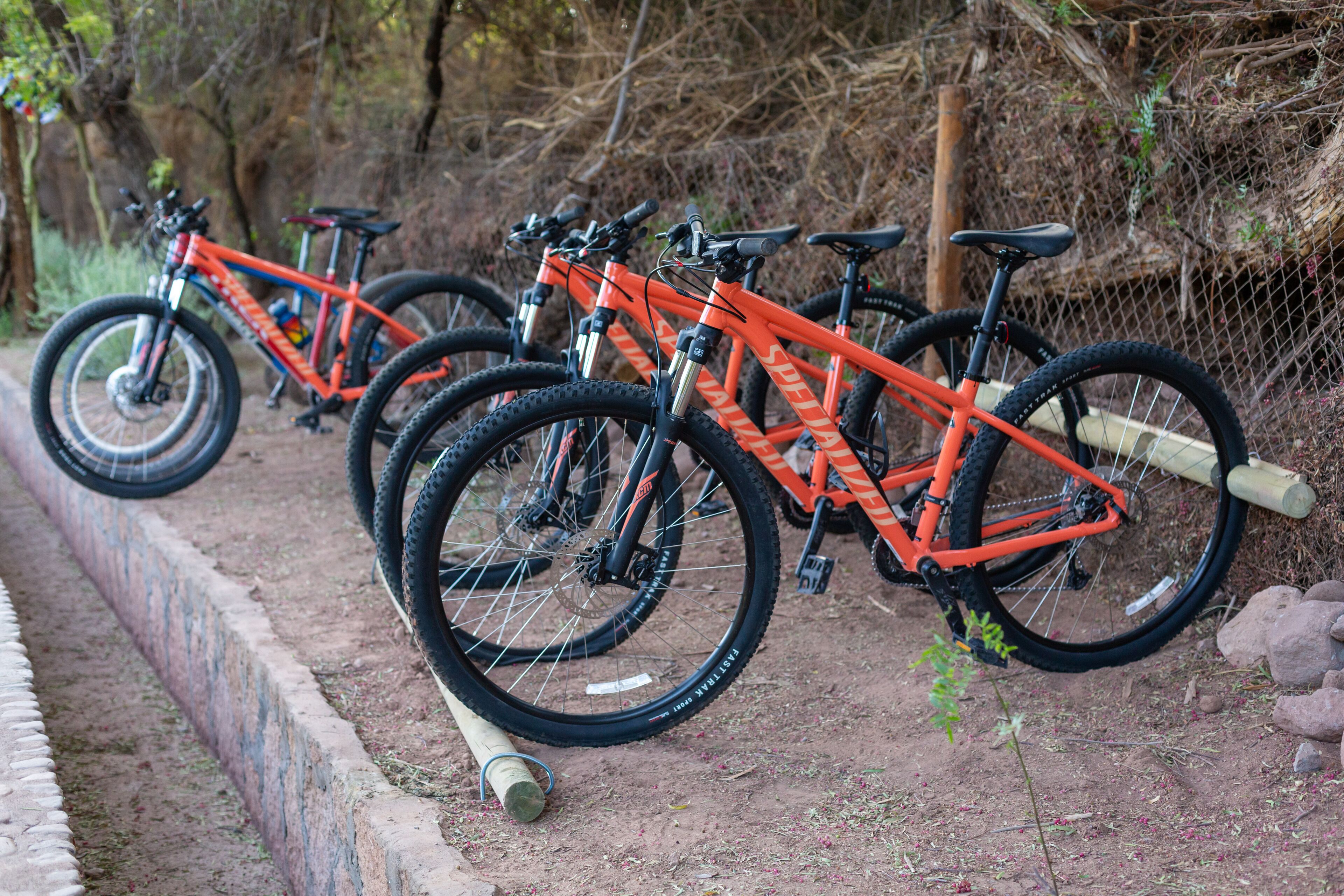 Eine Reihe von orangefarbenen Mountainbikes steht auf einem unbefestigten Weg. Im Hintergrund ist ein Holzzaun und Bäume zu sehen.