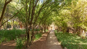 Un sendero bordeado de árboles y vegetación, que lleva a un edificio.
