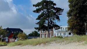 Una playa arenosa con un árbol grande y edificios al fondo.