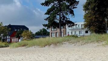 A sandy beach with a large tree and buildings in the background.