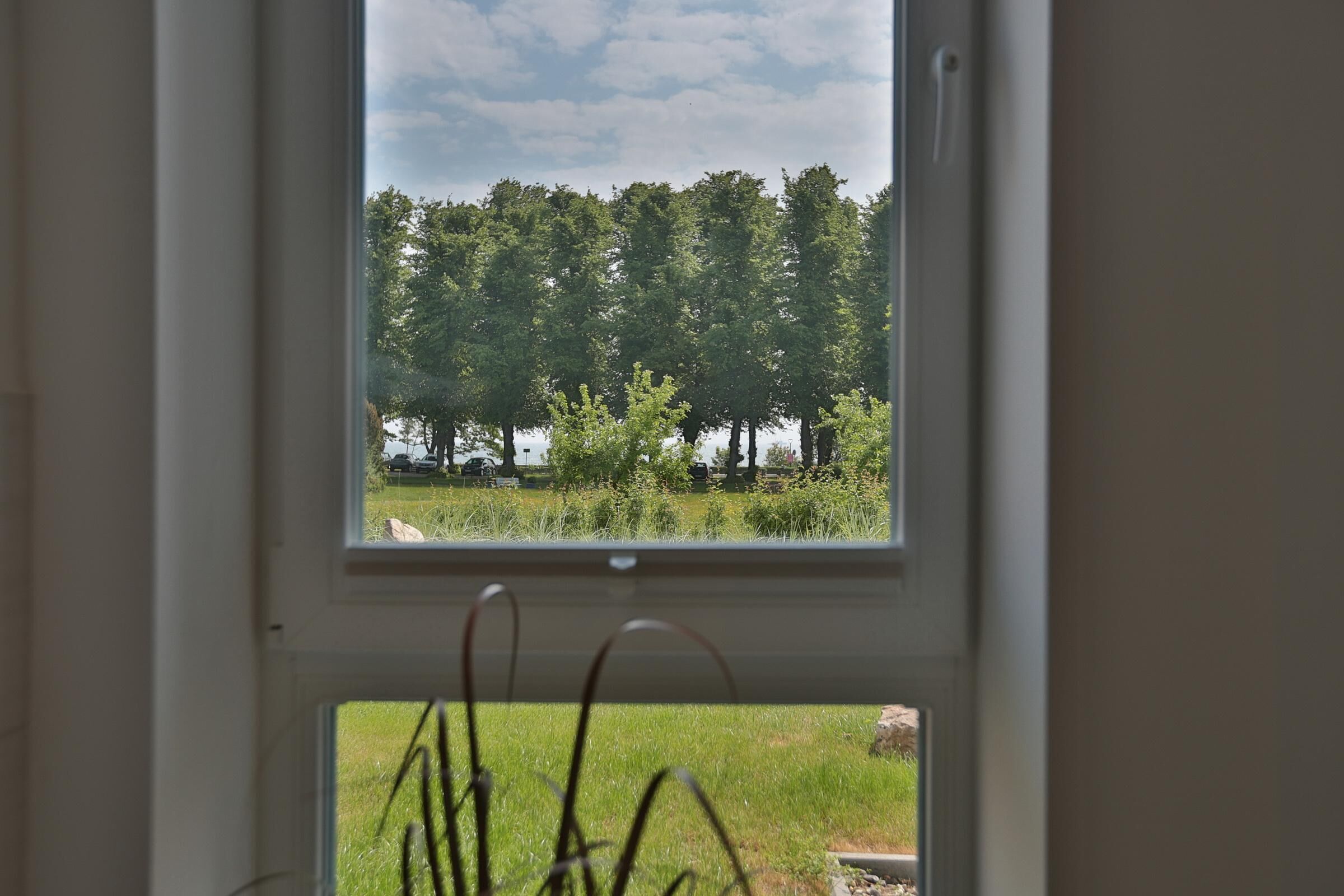 A window view of a forested area with a grassy field and a body of water in the background.