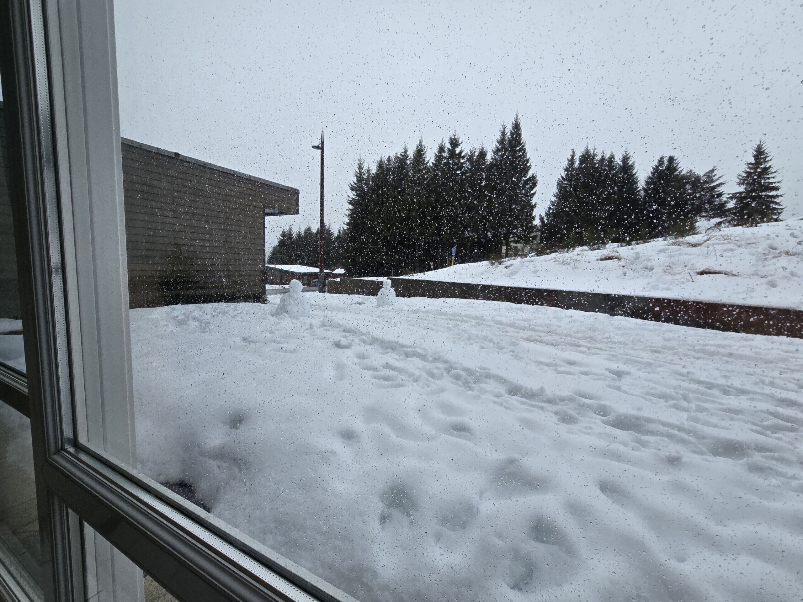 Lumipeitteinen maisema, jossa on rakennus ja puita.