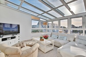 تلفزيون، مشغل دي في دي