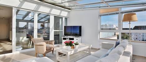 تلفزيون، مشغل دي في دي