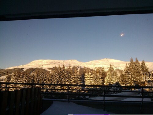 APPARTEMENT AVEC TERRASSE ET VUE SUR LE SANCY 301 GH