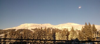 APPARTEMENT AVEC TERRASSE ET VUE SUR LE SANCY 301 GH