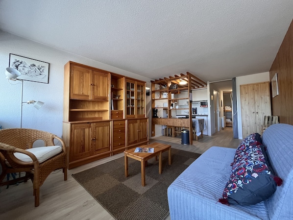 Un espace de vie compact comprenant un coin cuisine, des meubles de rangement en bois, un coin repas et un canapé agrémenté d’un coussin à motifs.