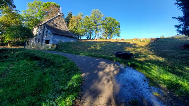 Ländliche Szenerie mit einem Steinhaus, einem Feldweg und Kühen im Hintergrund.