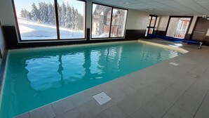 An indoor swimming pool with clear views of a snowy landscape through large windows.