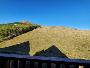 Unclassified image, 4 of 25, button