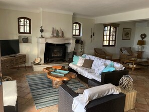 TV, fireplace, books