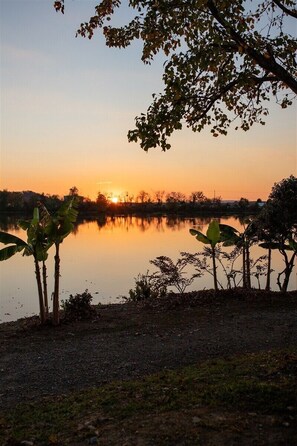A tranquil lakeside scene with a sunset, calm water, and vegetation.