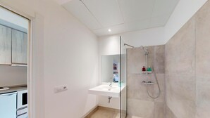 A modern bathroom with a glass shower enclosure, a white sink, and a mirror.