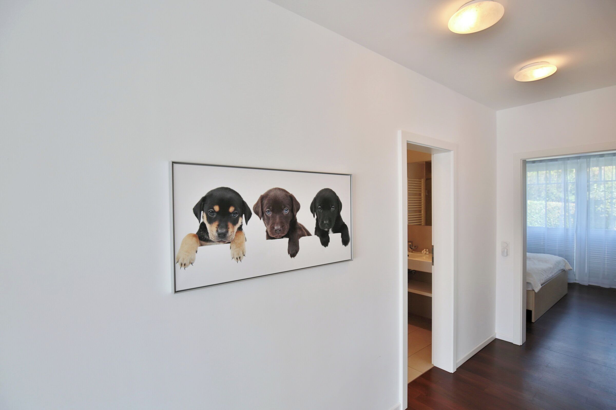 A modern interior with a framed photograph of three dogs on the wall, a wooden floor, and a bed with a white headboard in the background.