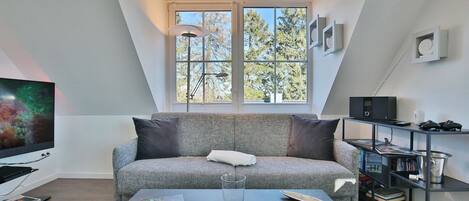 تلفزيون، وحدة تحكم لألعاب الفيديو، مشغل دي في دي، كُتُب