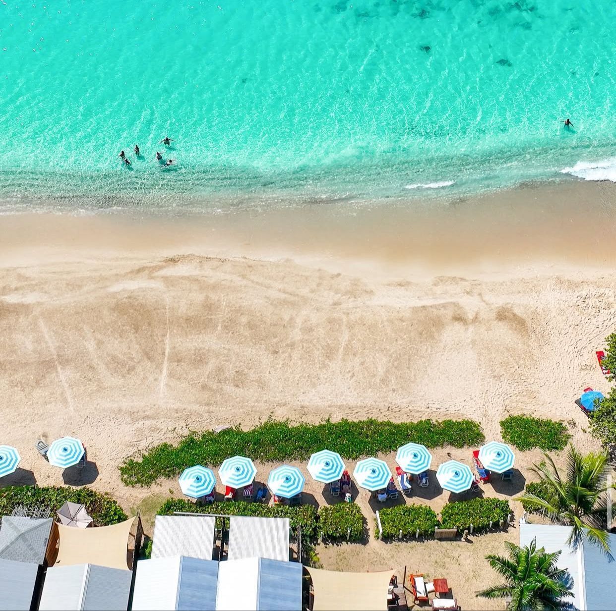 An aerial view of a beach with clear turquoise water, a sandy shore, and rows of beach umbrellas and lounge chairs.