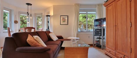 电视、DVD 播放器、立体声音响