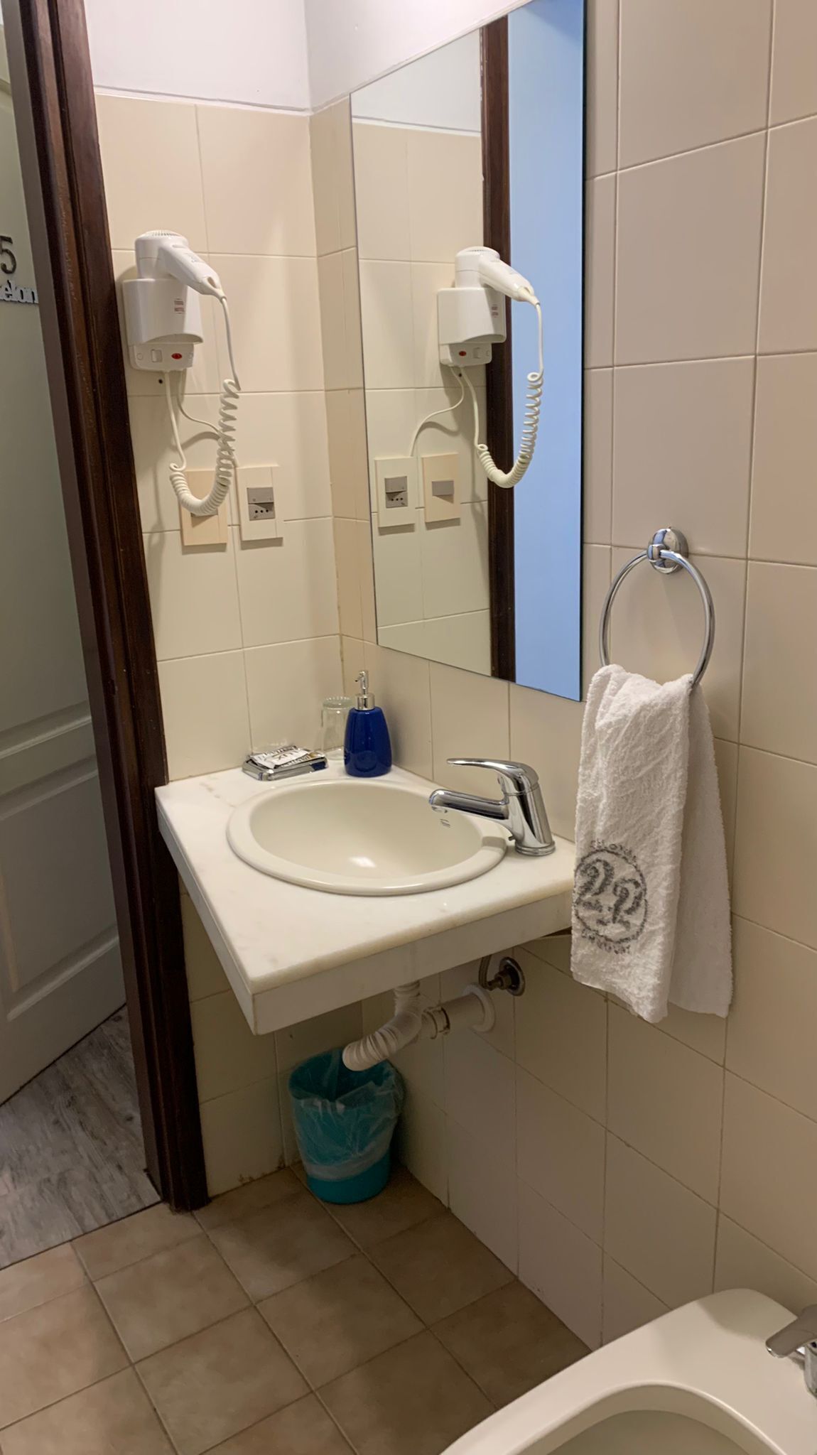 A bathroom with a white sink, a mirror, a towel rack, and a hairdryer.
