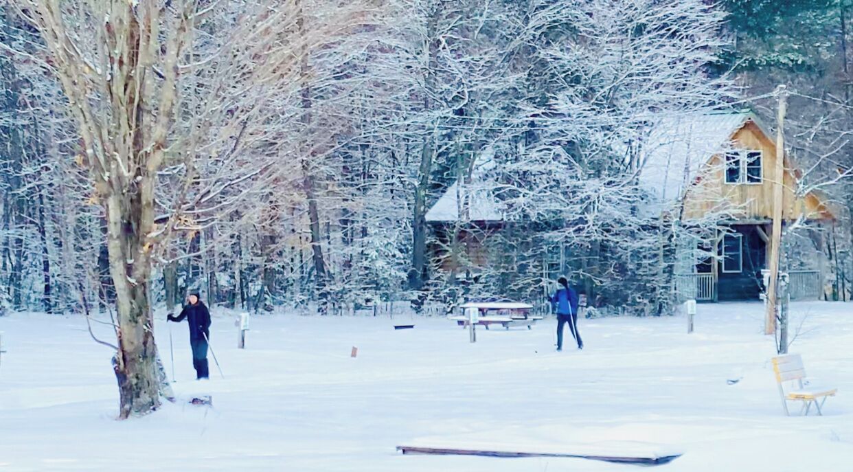 Snø- og skisport