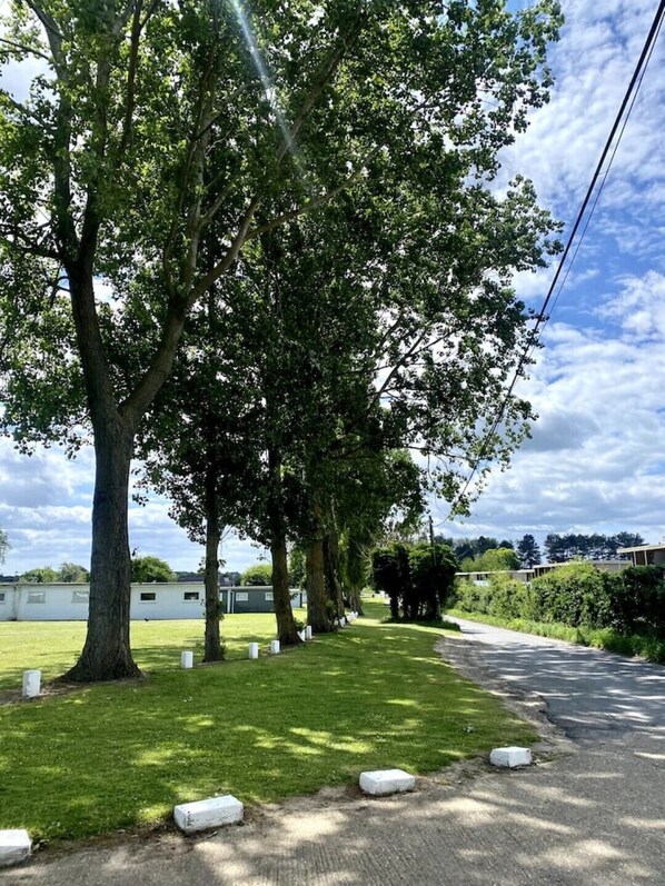 A road lined with trees and a grassy area. There are white bollards along the road.