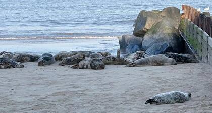 Quiet and Comfy 2 bedroom Holiday Chalet walk to beach, Norfolk family friendly