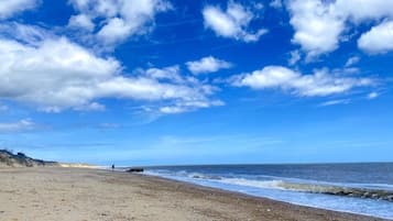 在海灘附近、躺椅